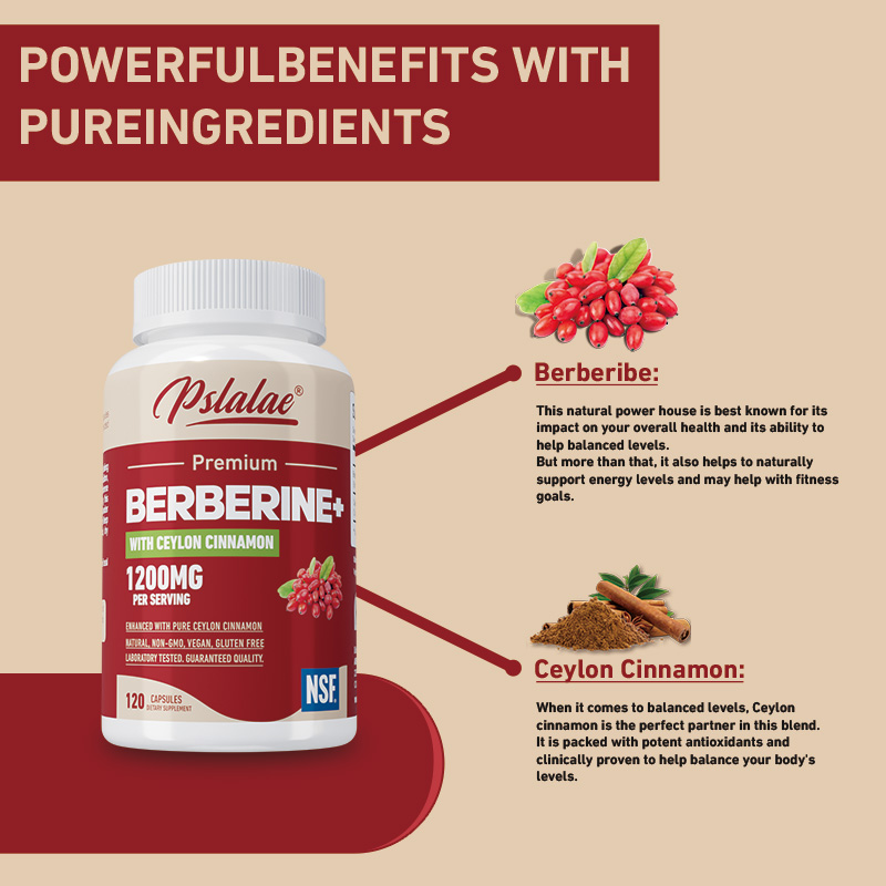 Berberine - Antioxidant, Suppo - Berberine Hcl Capsule recension och pris