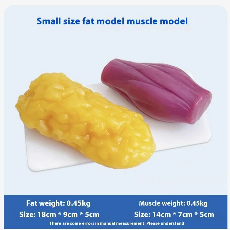 Human Muscle and Fat Replicas  - Nutrition Fitness Health recension och pris